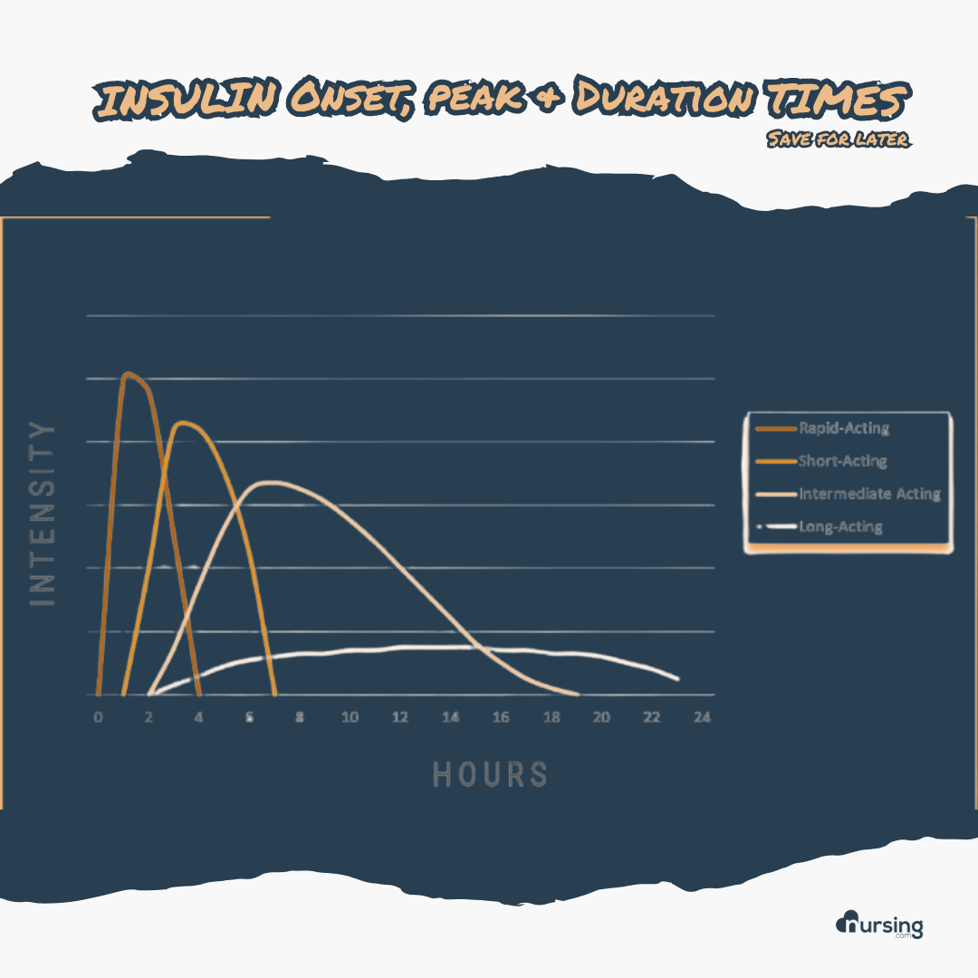 INSULIN . . . Life Saver or Life Taker How Insulin Works